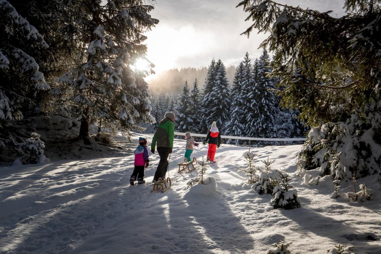Naturpark Huette Mandl, Biobauernhof & Huettenurlaub 상트램브레흐트 외부 사진