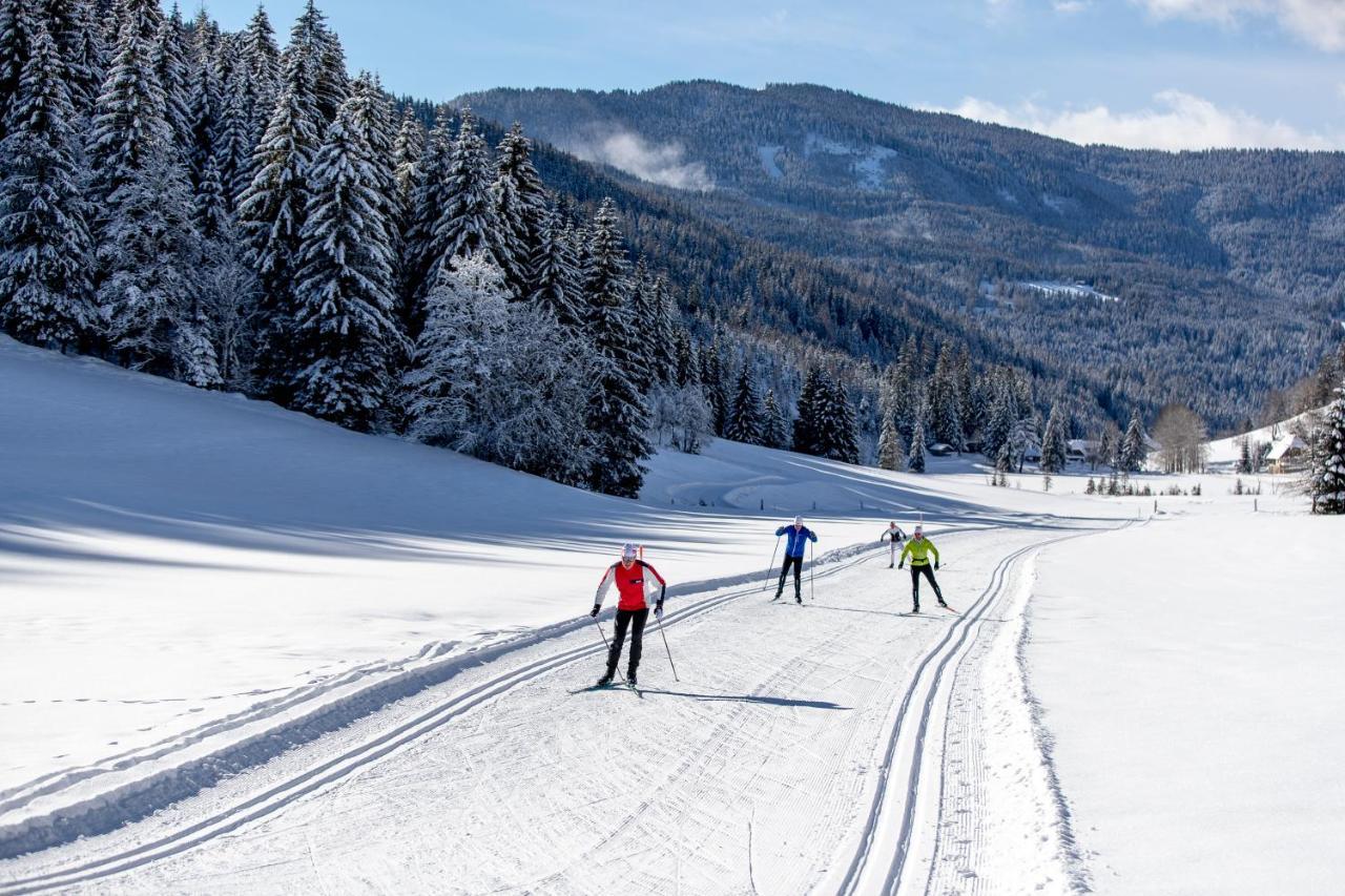 Naturpark Huette Mandl, Biobauernhof & Huettenurlaub 상트램브레흐트 외부 사진