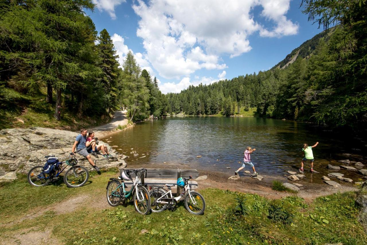 Naturpark Huette Mandl, Biobauernhof & Huettenurlaub 상트램브레흐트 외부 사진