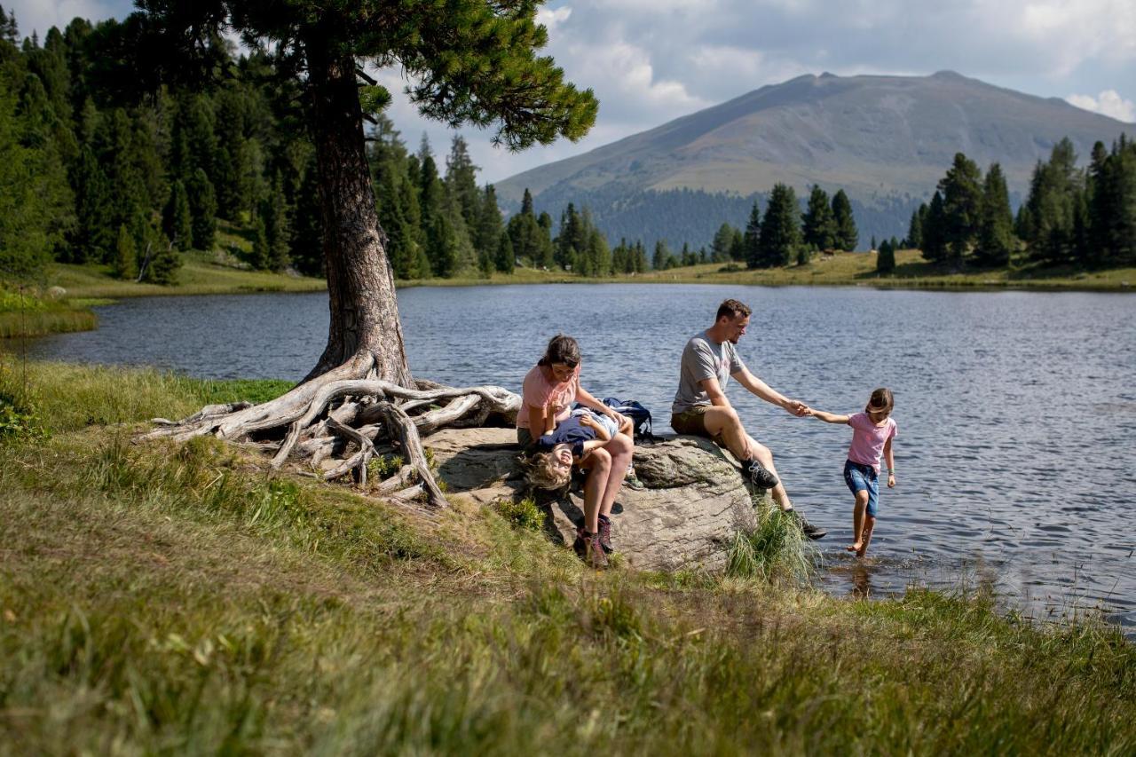 Naturpark Huette Mandl, Biobauernhof & Huettenurlaub 상트램브레흐트 외부 사진