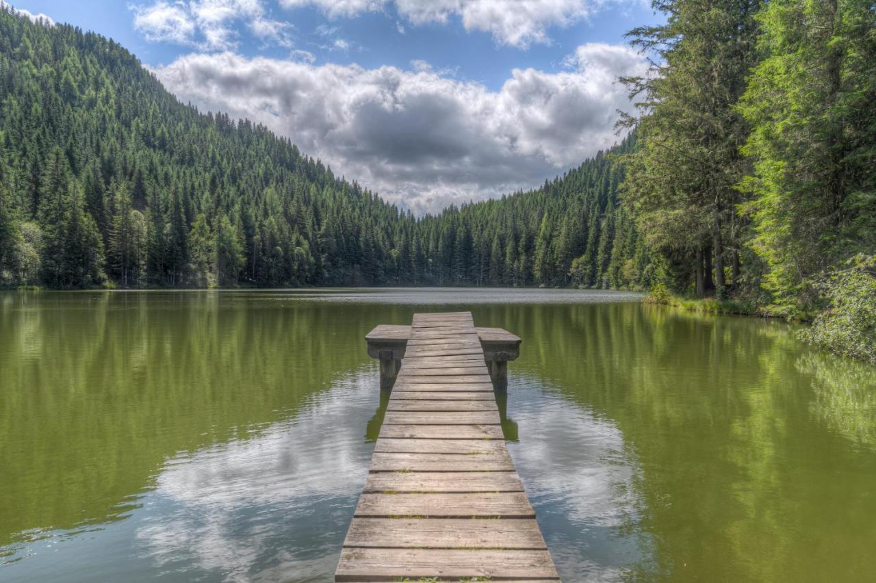 Naturpark Huette Mandl, Biobauernhof & Huettenurlaub 상트램브레흐트 외부 사진